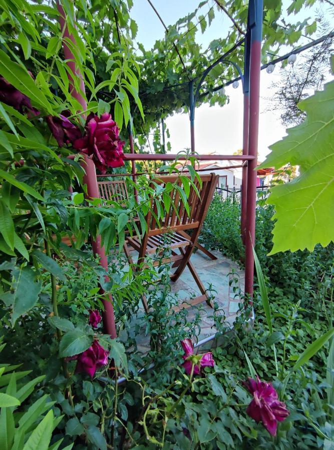 Summer Time Premantura Ngoại thất bức ảnh