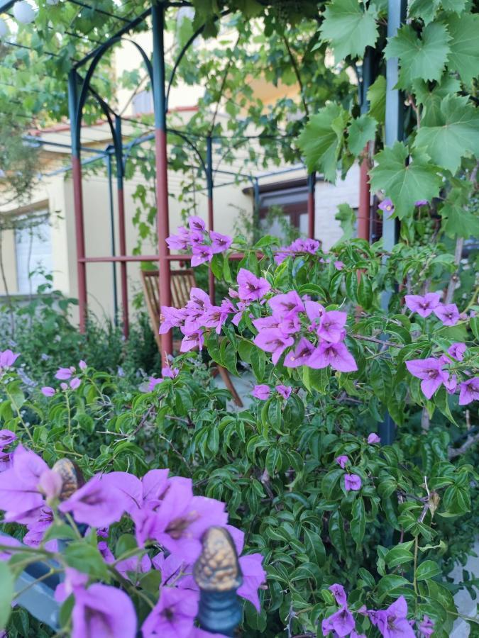 Summer Time Premantura Ngoại thất bức ảnh
