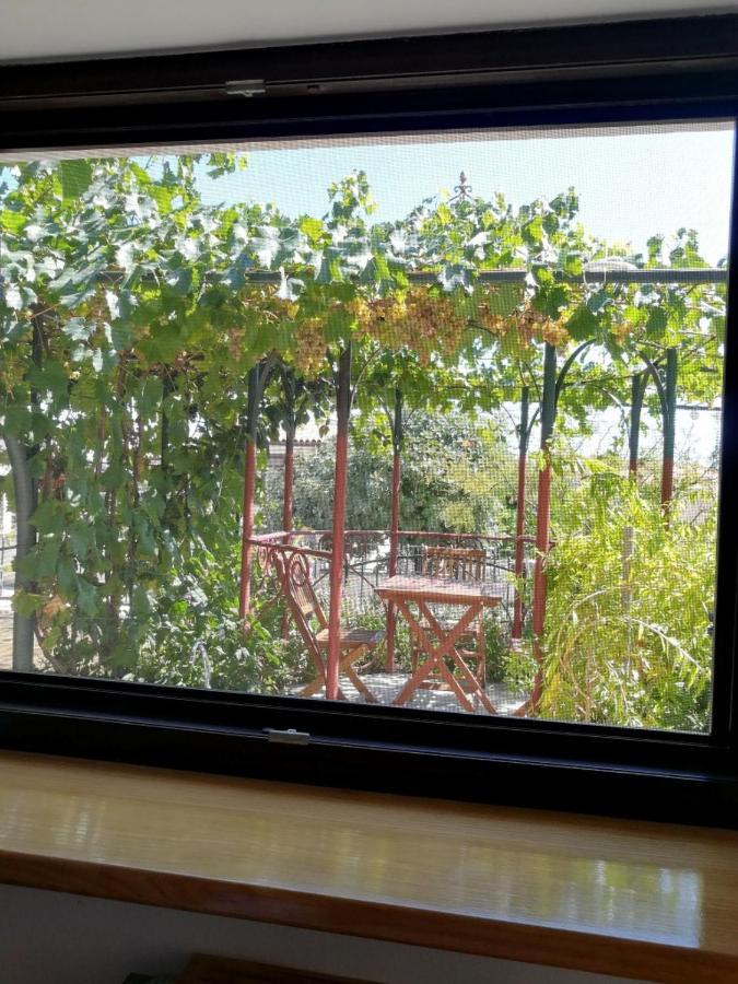 Summer Time Premantura Ngoại thất bức ảnh